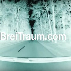 So Schnell Ich will -  Featuring Friends