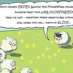 Interview mit Dr. h.c. Any Nemo - Betriebsklima