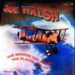 Joe Walsh cover "Rocky Mountain Way"