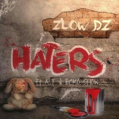 ZLowDZ Feat Ecko Show & A.T - Haters
