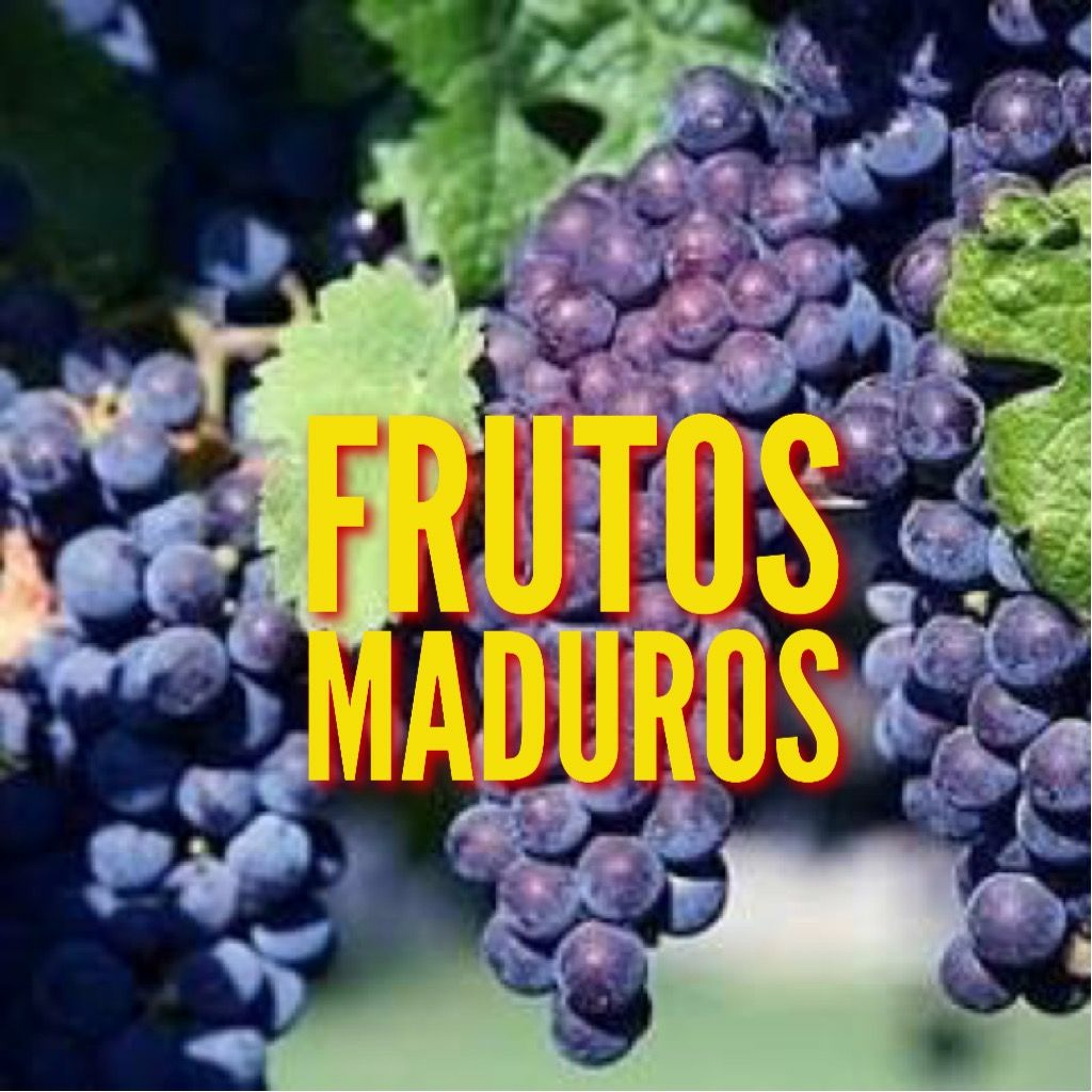 Frutos Maduros | Kedoshim | ESM episode artwork
