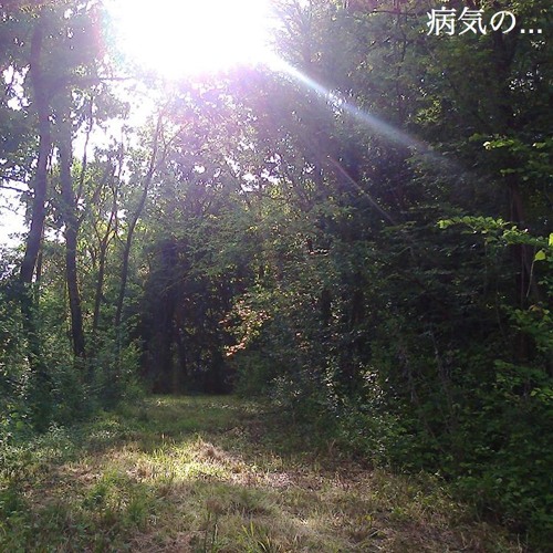 ...tเҡ〇ℊ〇病気の X ∆yweeTh∆Seed - N∆TuRe Vibes