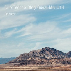 Dub Techno Blog Guest Mix 014 - Reestar