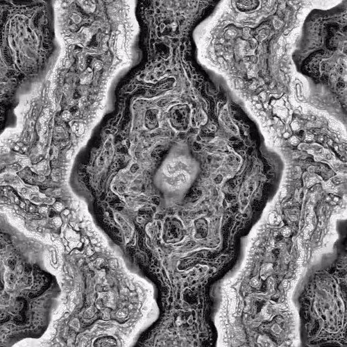 SLIME MOLD