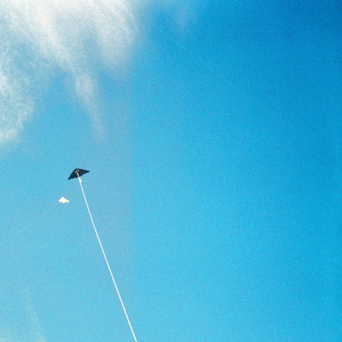 Inertia