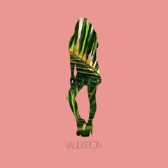 Validation (feat. Craig Black)