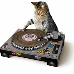 The Jeannie Jones Meow Music Mix w/ DJ E Boogie