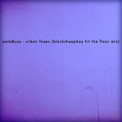 pale&coy - Urban Foxes (blacksheepboy hit the floor mix)