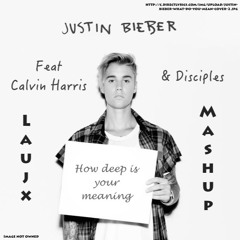 Justin Bieber Ft. Calvin Harris & Disciples -How Deep Is Your Meaning (Odd Angel Mashup)