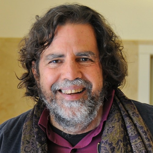 Stream Jimmy Mendoza Listen to Ramon Grosfoguel playlist online for