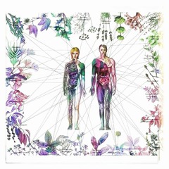 Why Complicate Things