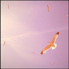 Thunderbolt - Wind (Original Mix)