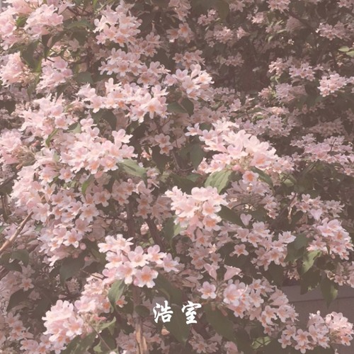 ✧MAY HOUSE MIX✧
