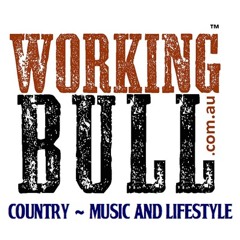 Working Bull Podcast 4