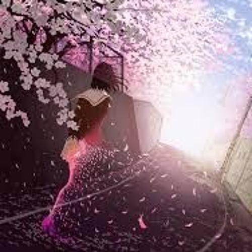 Blossom