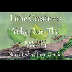 Little Creatures Who Run The World