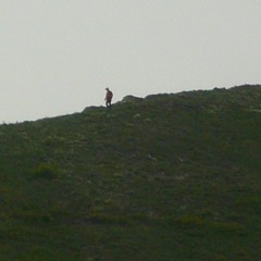 Kama Meats Nature Beats