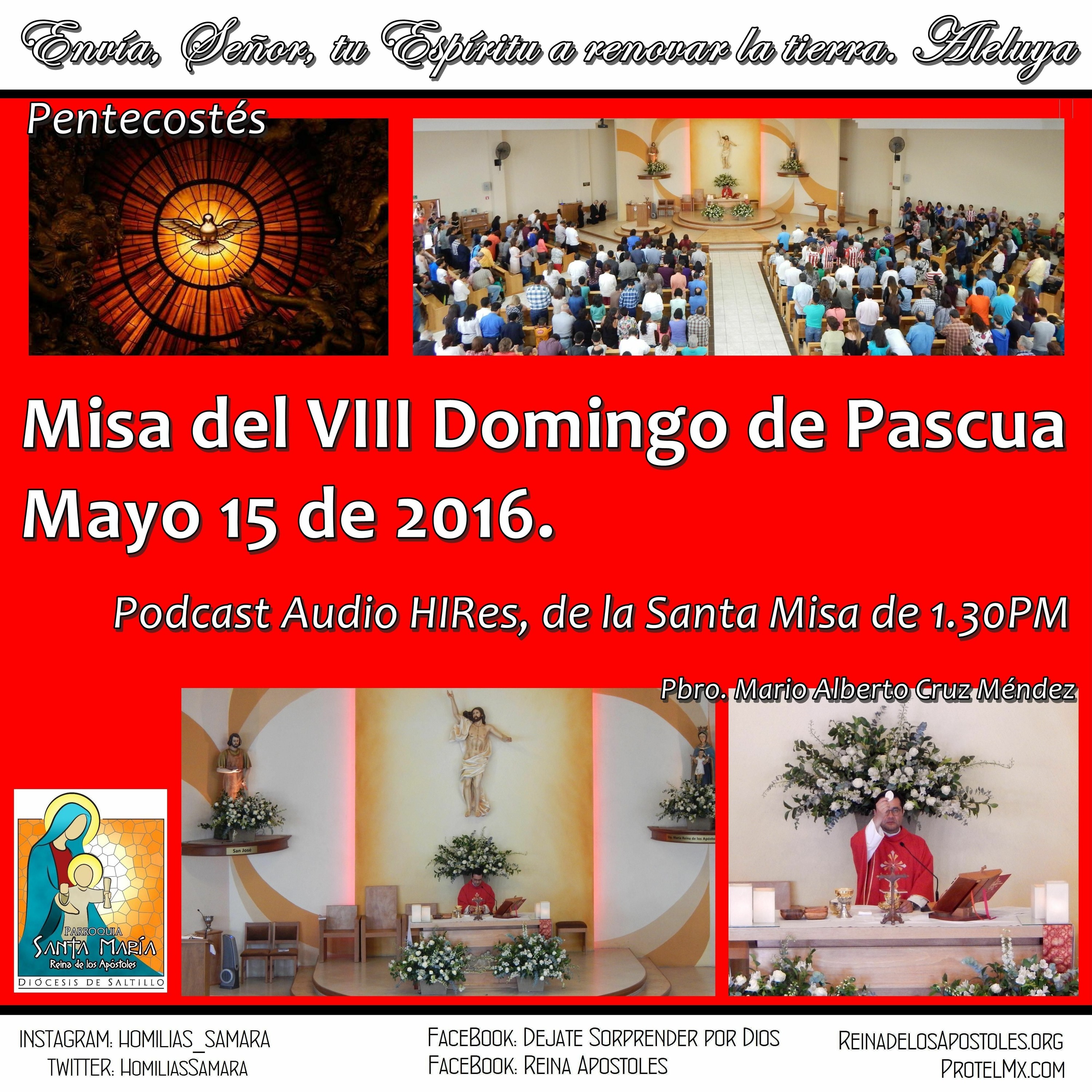 SAMARA_Saltillo #2019
