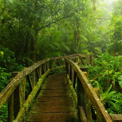 Gorgeous Summer (Jive Approved)