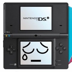 Nintendo DSi Music - Slideshow (Memories)