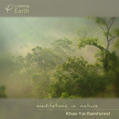 Khao Yai Rainforest - Album sample