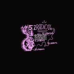 5.2RADIO16