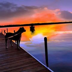 A lil sweet serenity.....relax......;)