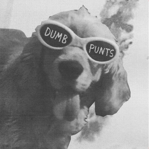 Dumb Punts - A1 - Put A Sock In It