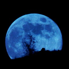 Perturbações no Sono