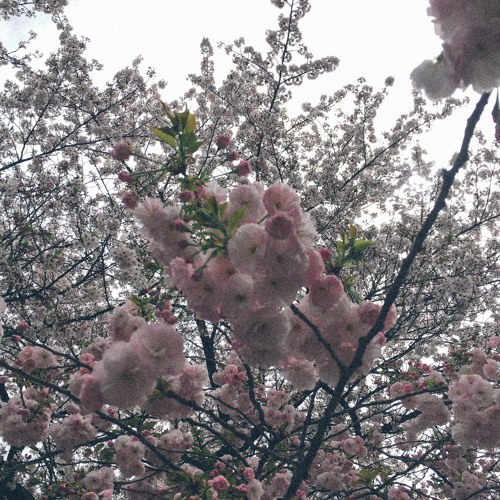 Live from Berlin on NTS INT 29.04.2016