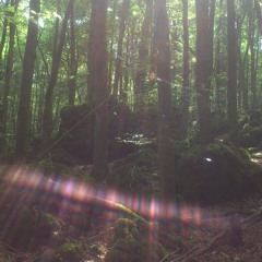 Waldstück