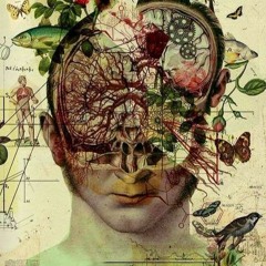 Windows, Ustad Sultan Khan, A Drop Of The Ocean, Spiritual Music