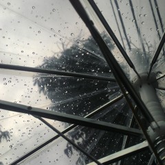 Banda Neira - Hujan di Mimpi (Cover by Marissayu ft. @ferdyocky)