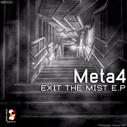 Download meta4