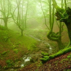 Euryale - Transcend Â©