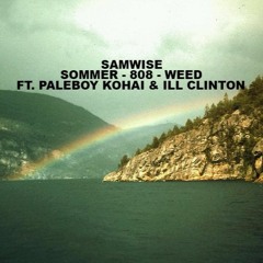 SOMMER 808 WEED feat. Paleboy Kohai & Ill Clinton (prod. by Kronic)
