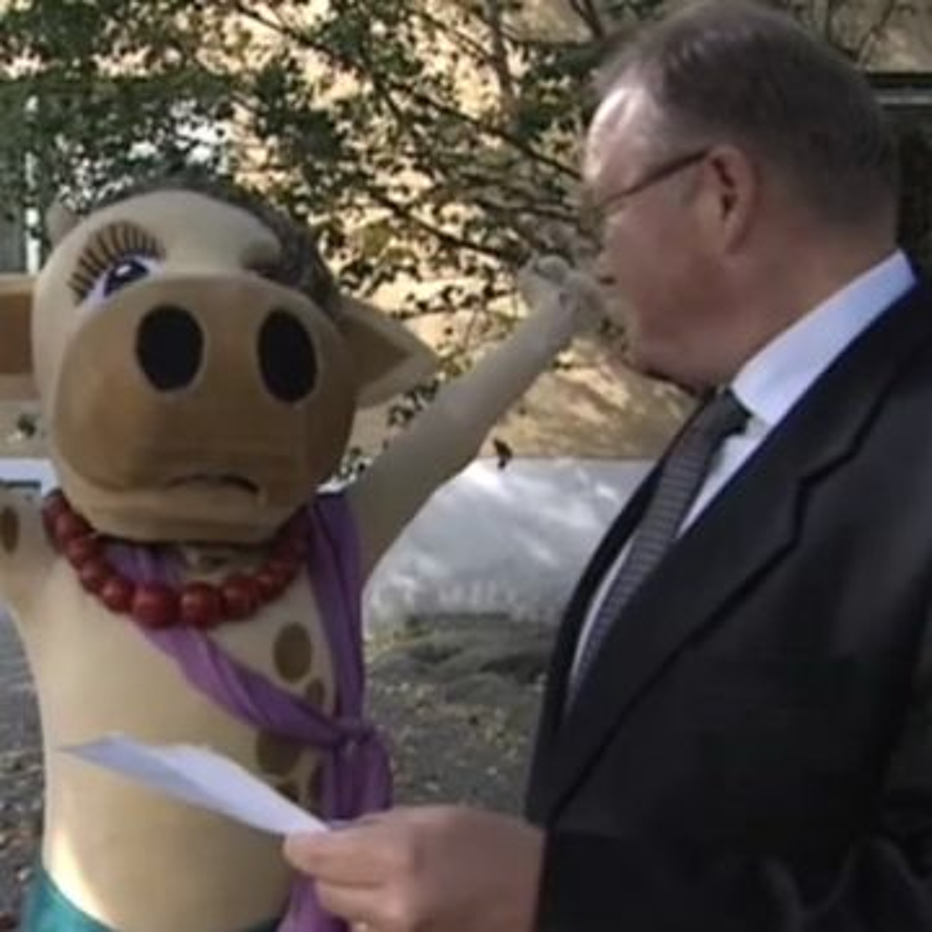 »Stefan Löfvens kossan Doris-moment« | Arenagruppens politiska snackfest del 8 thumbnail