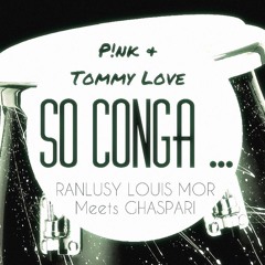 P !nk & Tommy Love - So Conga ... (Ranlusy Louis Mor Meets Ghaspari Private) ● DOWNLOAD ●