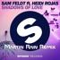 Shadows Of Love ft. Heidi Rojas (Martin Rain Remix)