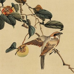 mohave x apOmorph - suzume