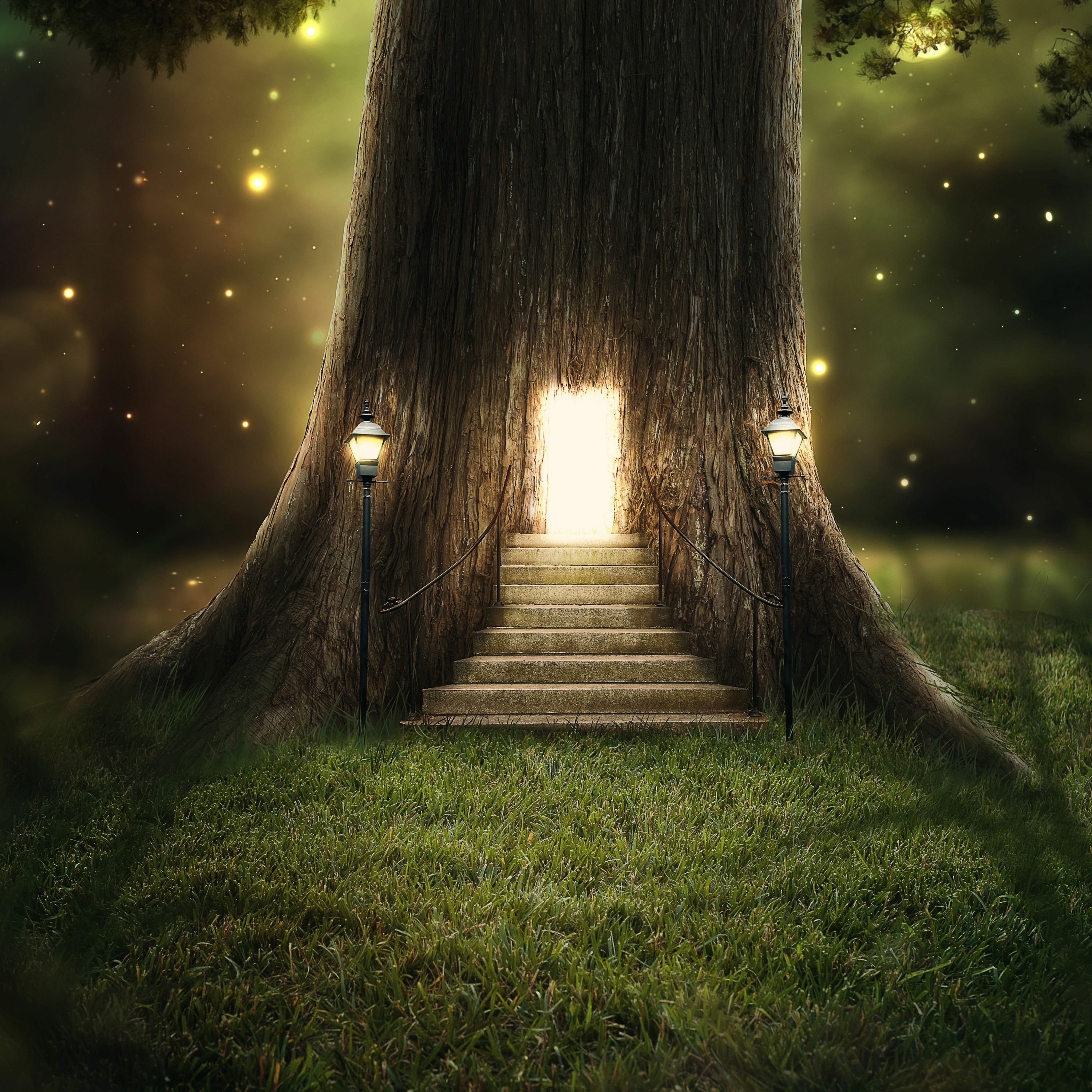 The Dream Tree episode artwork