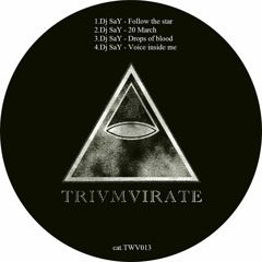 Say Dj - Voice Inside Of Me