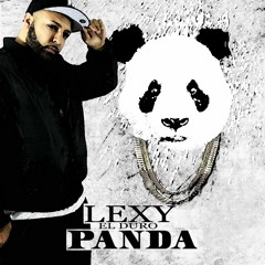 Panda - Lexy