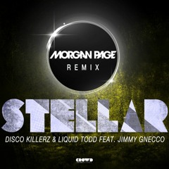 Disco Killerz & Liquid Todd - Stellar Feat. Jimmy Gnecco (Morgan Page Remix)