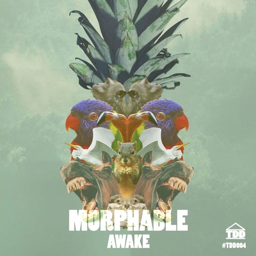 Morphable - Awake
