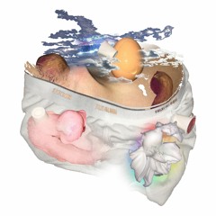 Taboojank - Bulge Hammer