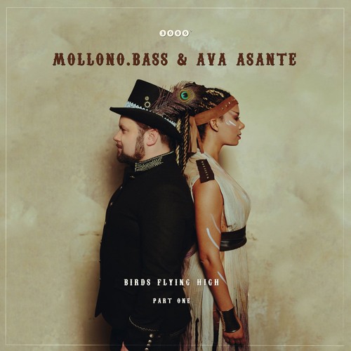 Mollono.Bass & AVA Asante - Jungle Dub - snippet