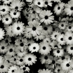 Joan Baez - Sagt Mir Wo Die Blumen Sind (Philistic - Remix -Bootleg)