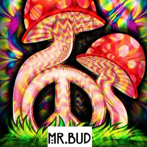 Mr.bud - 100 Miligrams