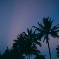 LI: Palm